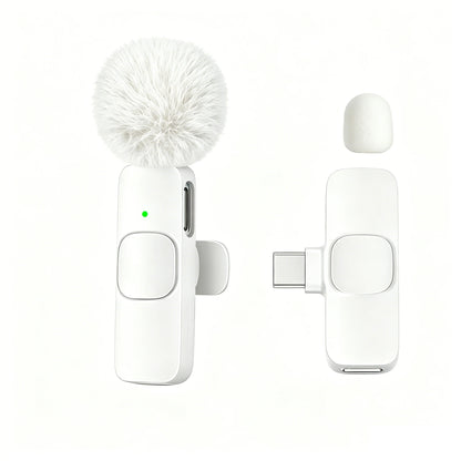 Type-C Port Professional Wireless Lavalier Microphone for Smartphones, Computers and Cameras, Plug and Play
