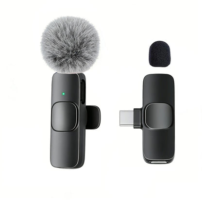 Type-C Port Professional Wireless Lavalier Microphone for Smartphones, Computers and Cameras, Plug and Play