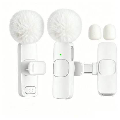 Type-C Port Professional Wireless Lavalier Microphone for Smartphones, Computers and Cameras, Plug and Play